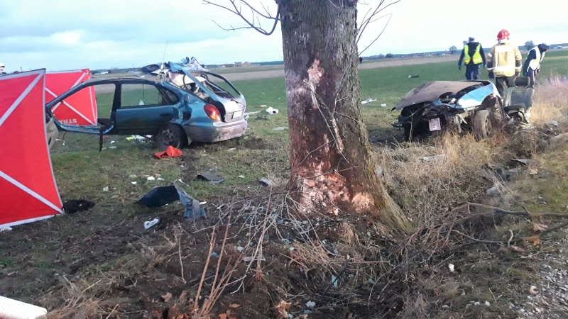 Śmiertelny wypadek w gm. Sulejów - zginęła matka i niemowlę