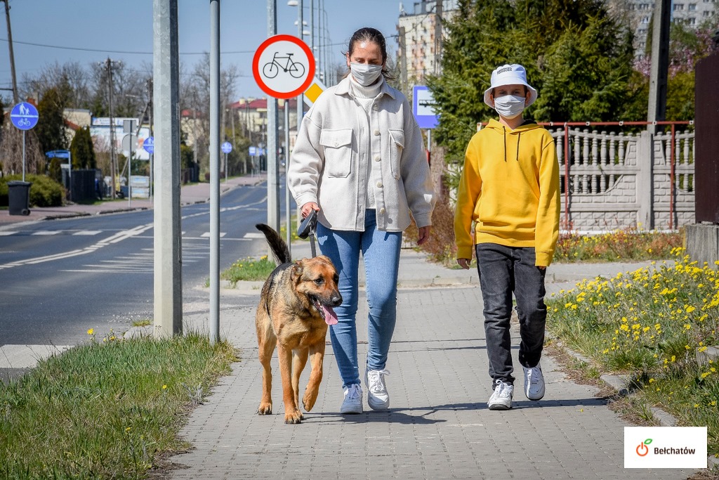 Zwycięski projekt budżetu obywatelskiego Bełchatowa doczekał się realizacji. Można już składać wnioski  - Zdjęcie główne