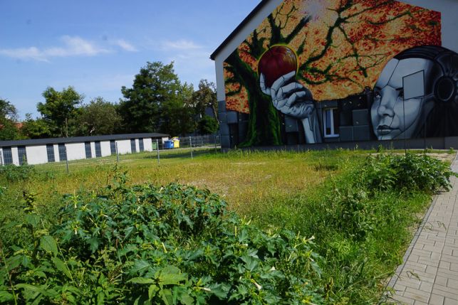 Narkotyczne rośliny w centrum Bełchatowa. Już sama ich woń może powodować halucynacje! - Zdjęcie główne