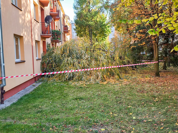 Skutki silnej wichury w Bełchatowie i powiecie. 21.10.2021