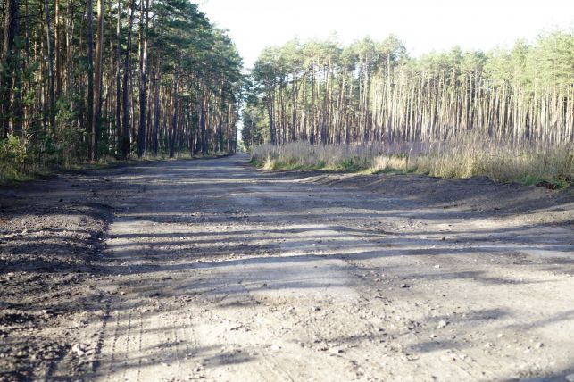 Ruszył remont zdewastowanej drogi. Urząd podał planowaną datę zakończenia prac [FOTO] - Zdjęcie główne