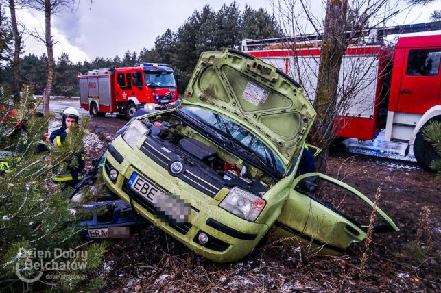 Niebezpiecznie w rejonie kopalni. Panda na drzewie, dwie osoby ranne [FOTO] - Zdjęcie główne