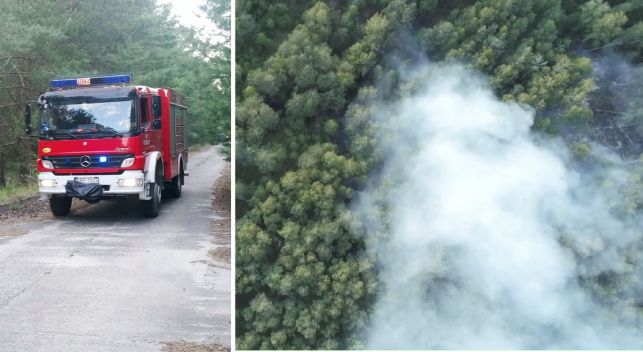 Pożar lasu w okolicy elektrowni. Strażaków wspierał samolot gaśniczy. Akcja trwa... [VIDEO] - Zdjęcie główne