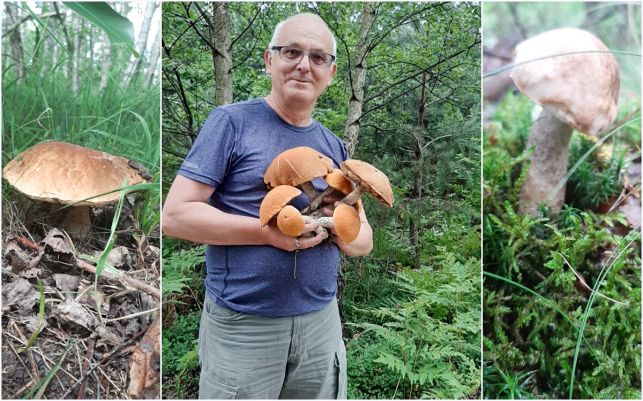 Coraz więcej grzybów w lasach pod Bełchatowem. Grzybiarze chwalą się niezwykłymi okazami! [FOTO] - Zdjęcie główne