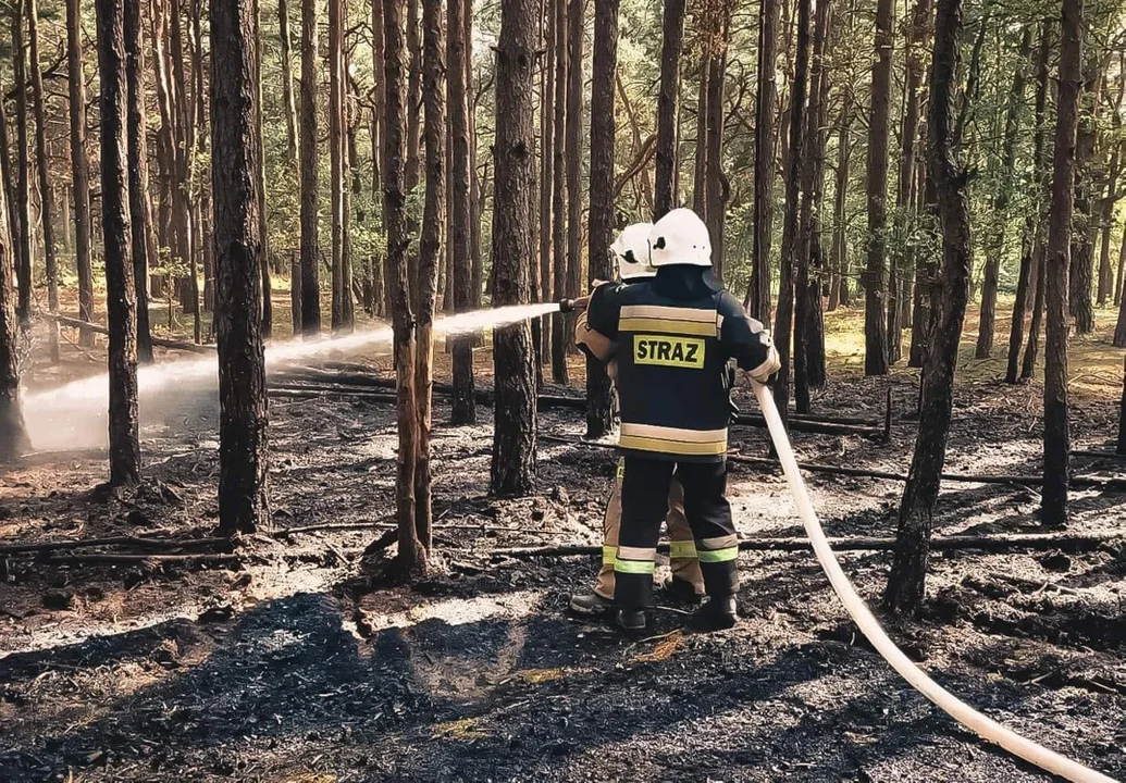 Strażacy gasili pożar przy bełchatowskiej szkole... dwa dni z rzędu. Jaka była przyczyna? [FOTO] - Zdjęcie główne