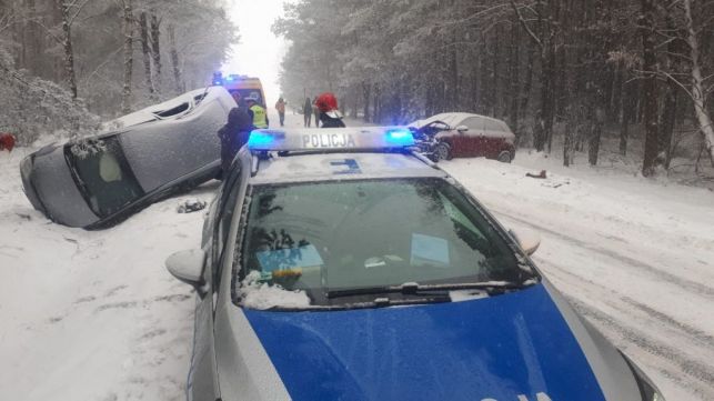 Czołowe zderzenie pod Bełchatowem - Zdjęcie główne