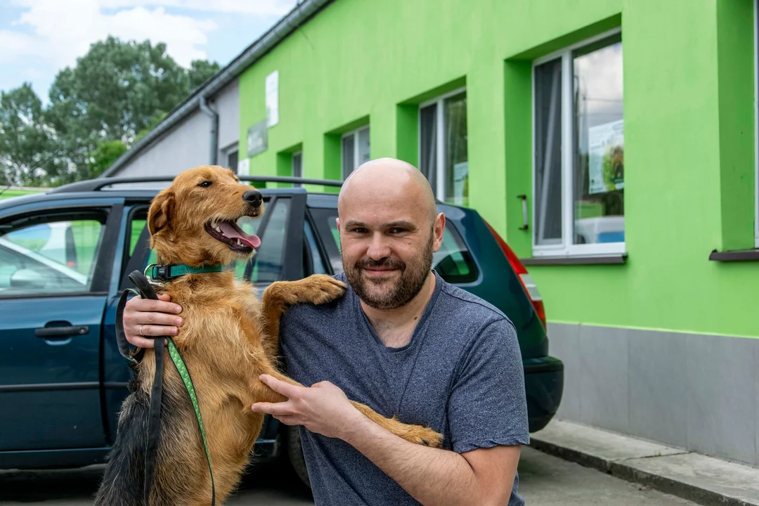 Bełchatowskie schronisko zaprasza na „PSYtulaki”. Przyjdź i znajdź swojego przyjaciela - Zdjęcie główne