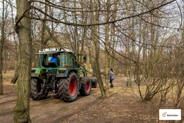 Grabią, przycinają, karczują, czyli wiosenne porządki w miejskich skwerach i parkach - Zdjęcie główne