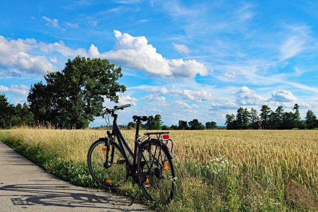 Majówka na rowerze. Ruszaj w trasę ze "Zgrzytem"! - Zdjęcie główne