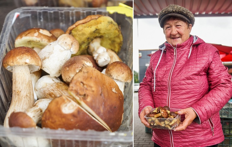 Grzybiarze na targowisku w Bełchatowie. Ile trzeba zapłacić za prawdziwki, podgrzybki i kurki? [FOTO] - Zdjęcie główne