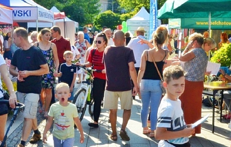 Przeznaczą pieniądze na akcje dla mieszkańców. Jak bełchatowskie starostwo podzieli dotacje?  - Zdjęcie główne