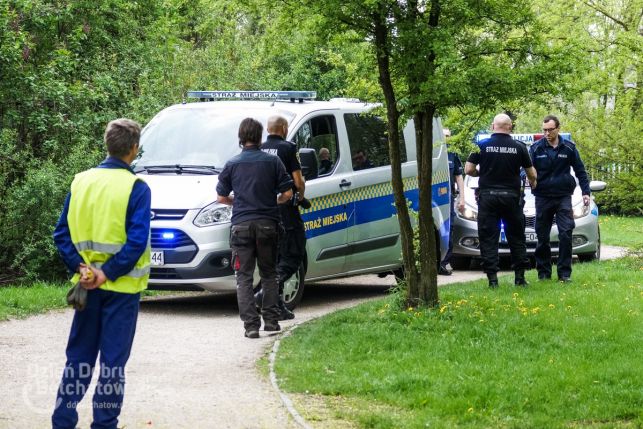 Znaleziono zwłoki w Parku Olszewskich - Zdjęcie główne