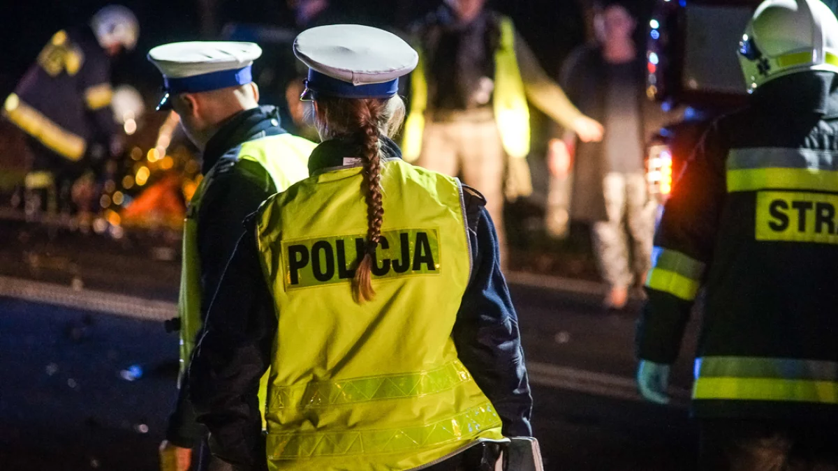 Wypadek pod Bełchatowem. Kierowca rzucił się do ucieczki. Po chwili... uderzył w kolejne auto - Zdjęcie główne