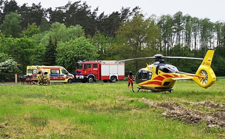 Bandyci grozili mu bronią i kazali się podpalić? Mężczyzna płonął w lesie [FOTO] - Zdjęcie główne