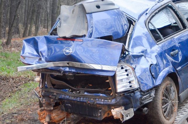 19-latkę wyrzuciło z drogi pod Bełchatowem. Opel dachował i ściął drzewo [FOTO] - Zdjęcie główne