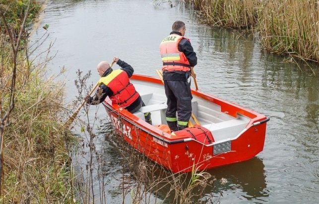 Wielkie poszukiwania pod Bełchatowem. Strażacy, policjanci i psy tropiące w akcji - Zdjęcie główne