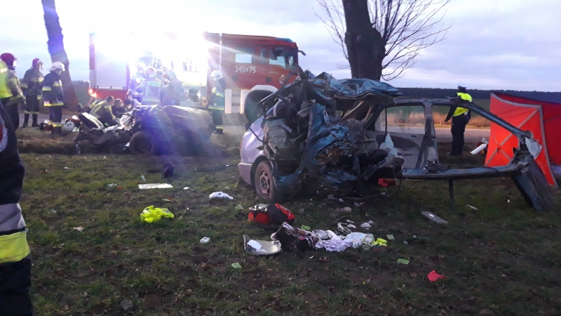 Dziki wybiegły na drogę - zginęła matka i miesięczne dziecko. Kierowca trafił do szpitala w Bełchatowie [FOTO] - Zdjęcie główne