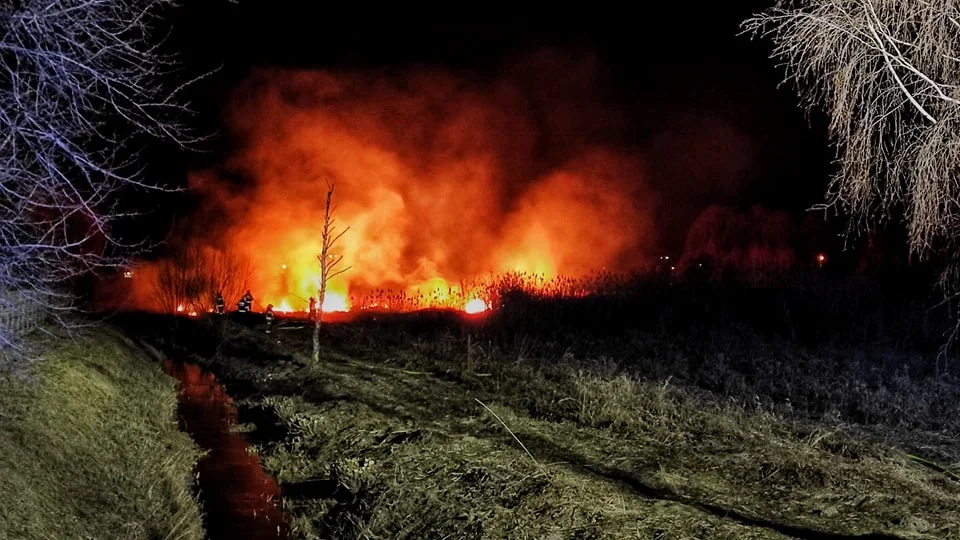 Seria pożarów w regionie. Strażacy pokazali zdjęcia [FOTO] - Zdjęcie główne