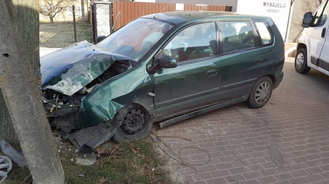 Bus zajechał jej drogę, uderzyła w drzewo - Zdjęcie główne