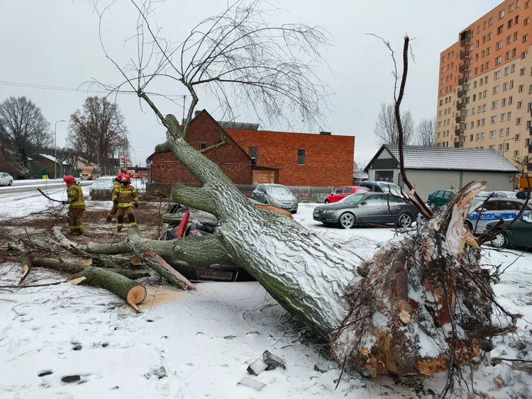 Alert pogodowy dla Bełchatowa i regionu. Wichura i burze znów narobią szkód? - Zdjęcie główne