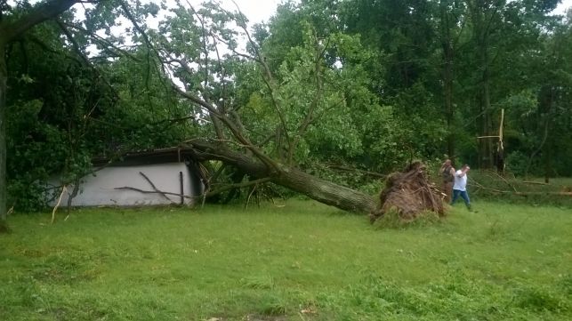 Orkan Ksawery siał spustoszenie. Kilkanaście tysięcy ludzi nadal bez prądu. Strażacy ciągle w akcji - Zdjęcie główne