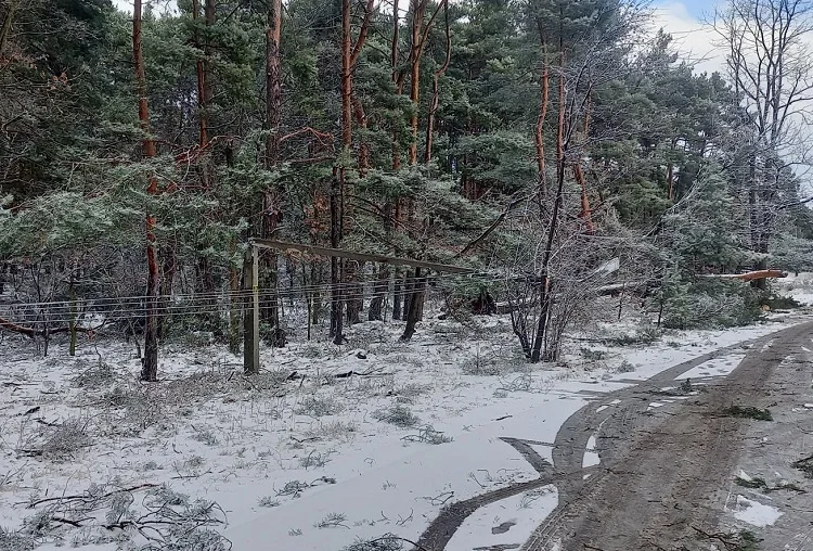 Energetycy wciąż usuwają awarie po burzy śnieżnej. Ile osób nie ma prądu i jak długo to potrwa? - Zdjęcie główne