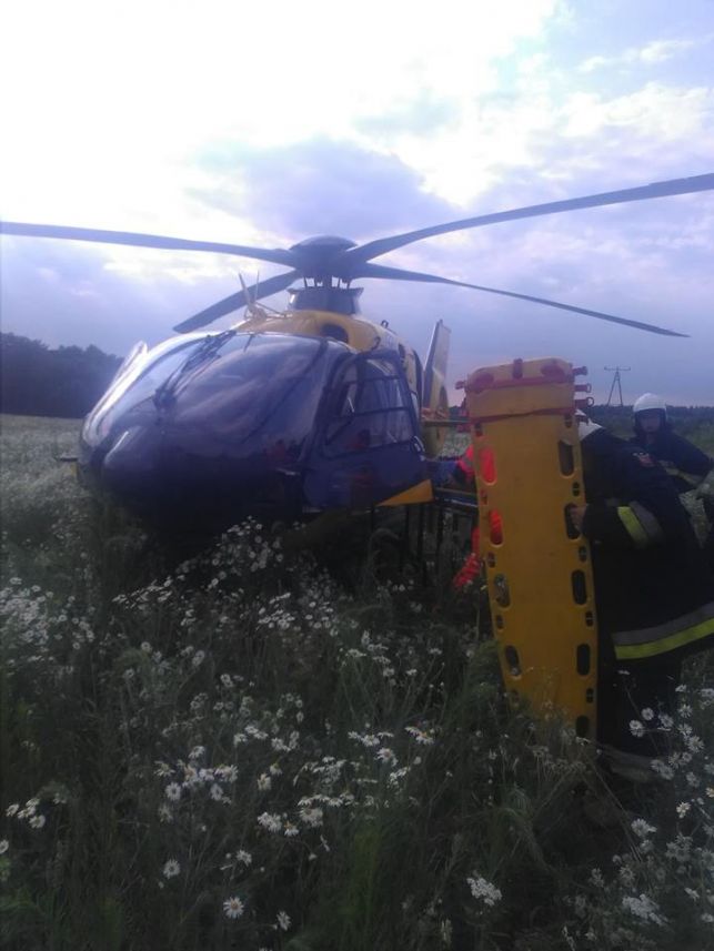 Groźny wypadek pod Zelowem. Ranne 6-letnie dziecko. Wezwano śmigłowiec ratunkowy  - Zdjęcie główne