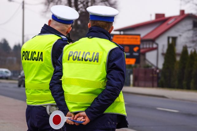 Kontrole na drogach. Można stracić dowód rejestracyjny. Co sprawdzają policjanci? - Zdjęcie główne