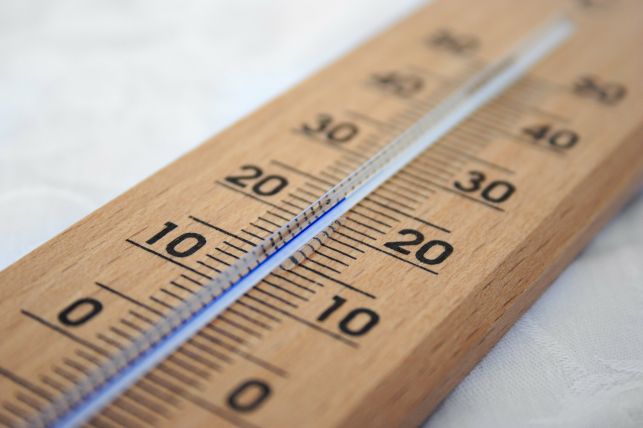 Temperatura wzrośnie o 20 stopni? Sprawdź kiedy może przyjść pierwszy powiew wiosny - Zdjęcie główne