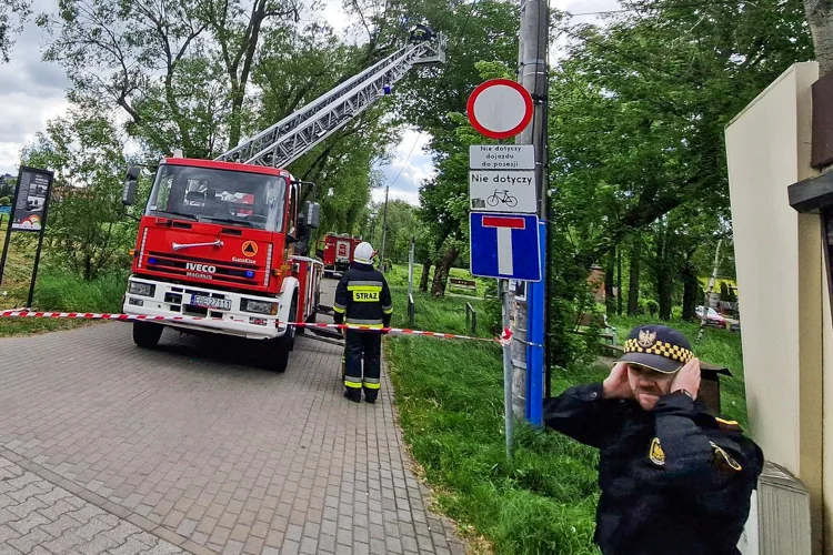 Wichura nad powiatem bełchatowskim. Uszkodzone dachy i połamane drzewa [FOTO] - Zdjęcie główne
