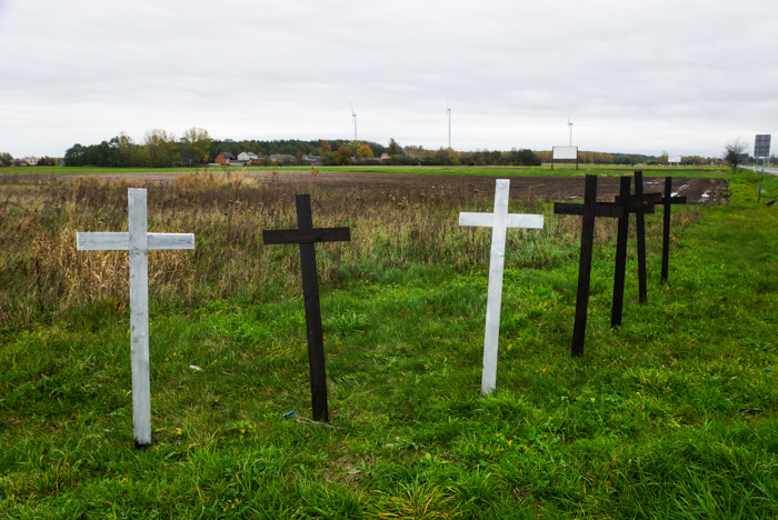 "Las" krzyży w gminie Rusiec. Po co je postawiono?  - Zdjęcie główne