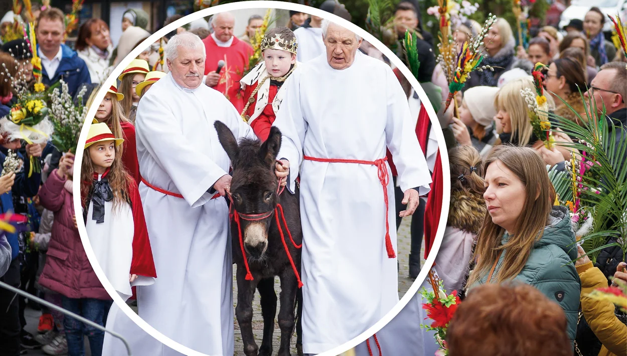 Procesja z osiołkiem w parafii Narodzenia NMP w Bełchatowie. Wierni świętują Niedzielę Palmową [FOTO][VIDEO] - Zdjęcie główne