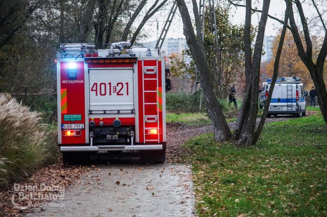 Zwłoki w Rakówce. Nastolatkowie dokonali makabrycznego odkrycia [FOTO] - Zdjęcie główne