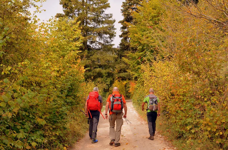 Wyprawa trekkingowa jesienią? Sprawdź, jak się przygotować - Zdjęcie główne