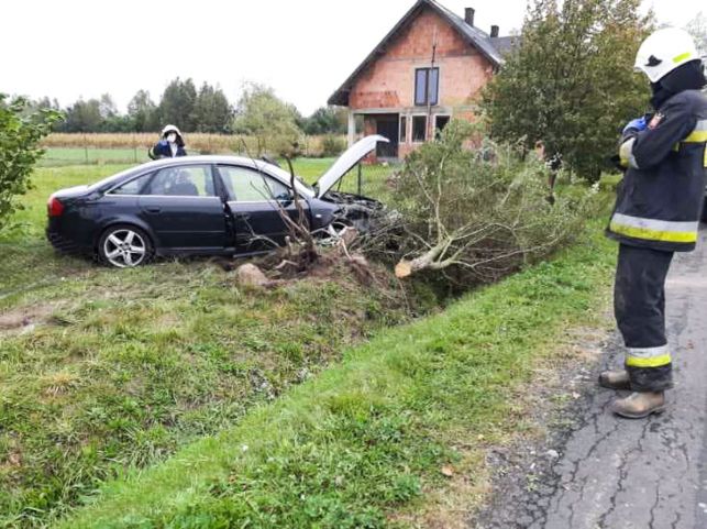 Na drodze koło Zelowa audi wypadło z drogi. Na miejscu policja, straż i karetka pogotowia [FOTO] - Zdjęcie główne