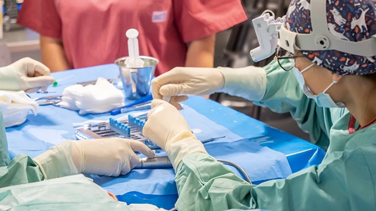 Przełomowa operacja w bełchatowskim szpitalu. Zamontowali specjalną protezę