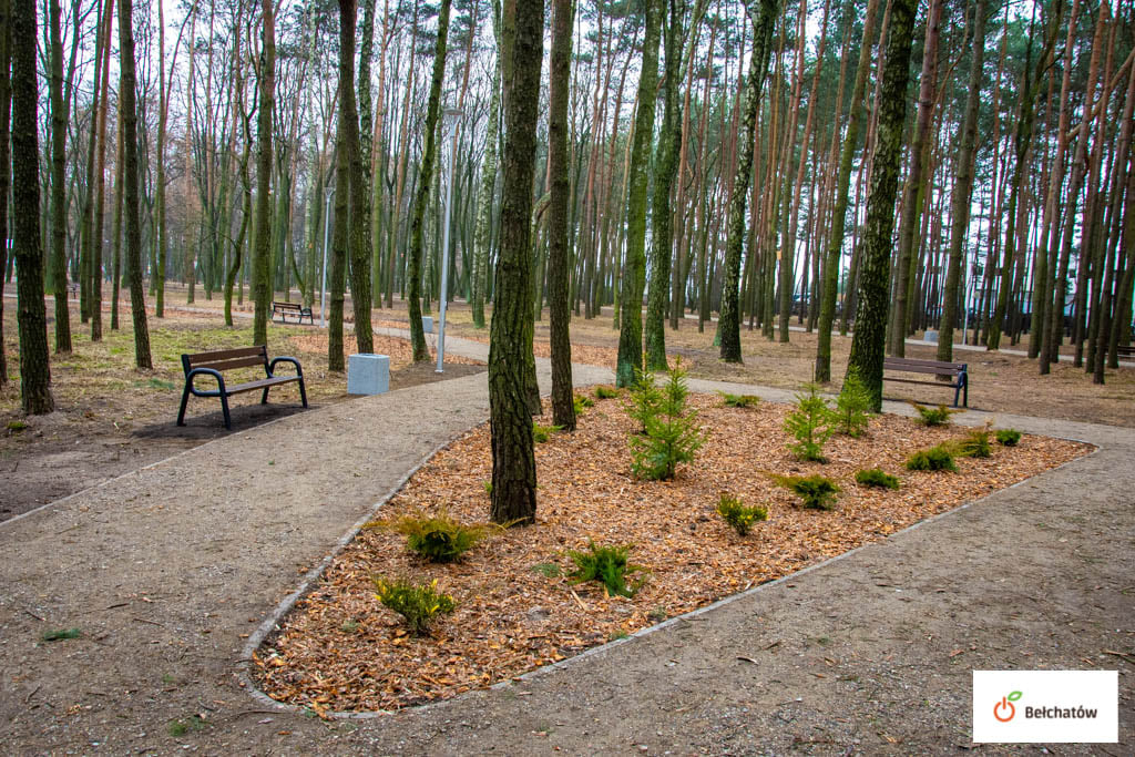 Bełchatowski park zyskał nowe oblicze. Zobacz, jak wygląda po liftingu za prawie pół miliona złotych [FOTO] - Zdjęcie główne