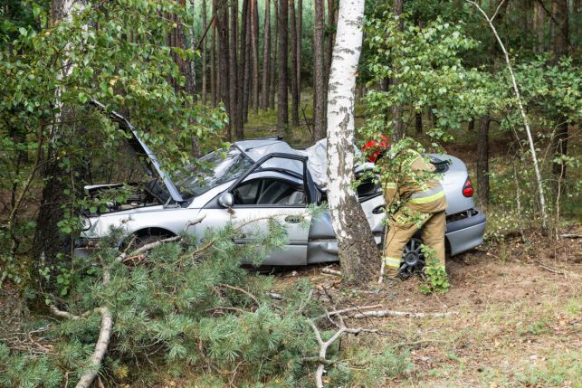 Wypadek na Nowym Świecie. Osobówka wypadła z drogi. Wrzesień 2020