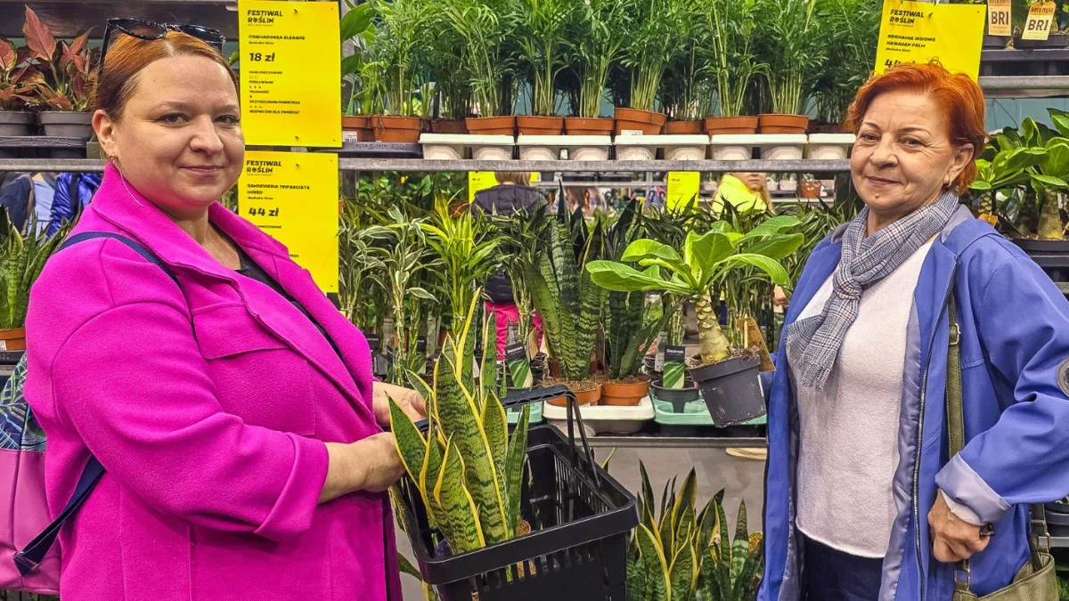 Mieszkańcy tłumnie ruszyli na Festiwal Roślin. Zobacz, co i za ile można kupić [FOTO]