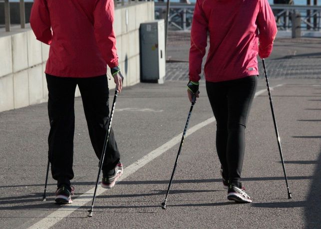 IX Bieg rekreacyjny i marsz nordic walking - Zdjęcie główne