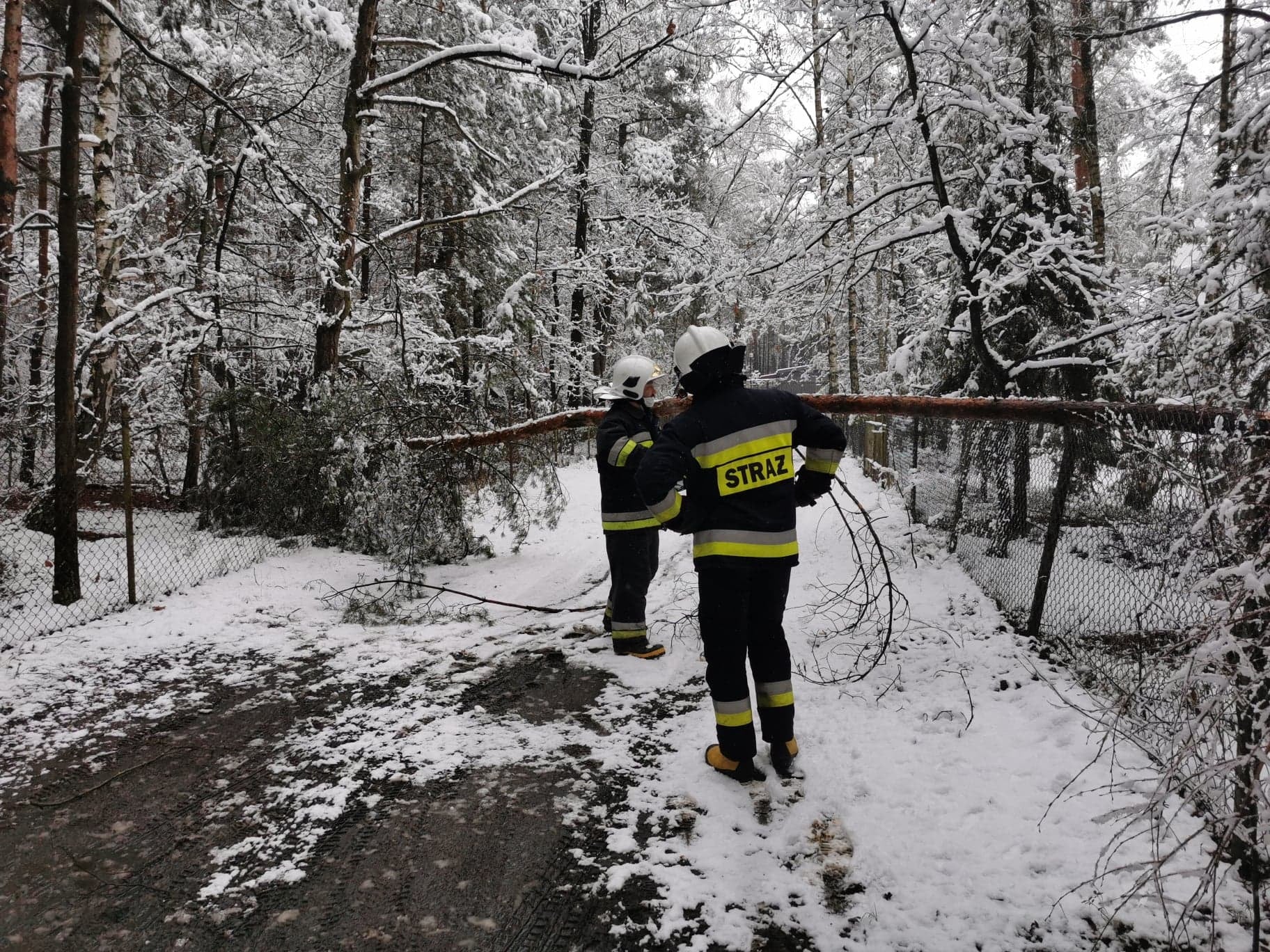 Pierwszy śnieg i... pierwsze problemy. Powalone drzewo, brak prądu i lód na drodze - Zdjęcie główne