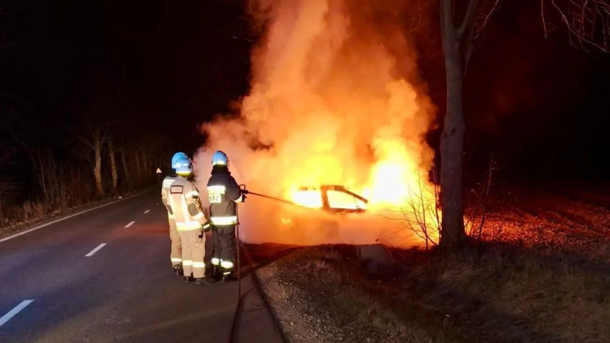 Nocna akcja straży pożarnej w powiecie bełchatowskim. Samochód doszczętnie spłonął [FOTO] - Zdjęcie główne