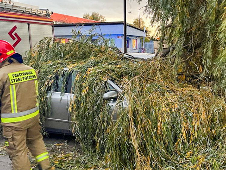 Połamane drzewa, zerwane linie i uszkodzone budynki. Skutki silnej wichury w powiecie bełchatowskim [FOTO] - Zdjęcie główne