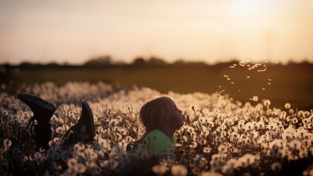 Wakacje w Muzeum pod znakiem podróży - Zdjęcie główne