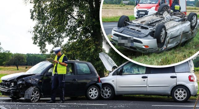 Multipla, ford i seat rozbite, ale bełchatowska policja szuka... mazdy - Zdjęcie główne