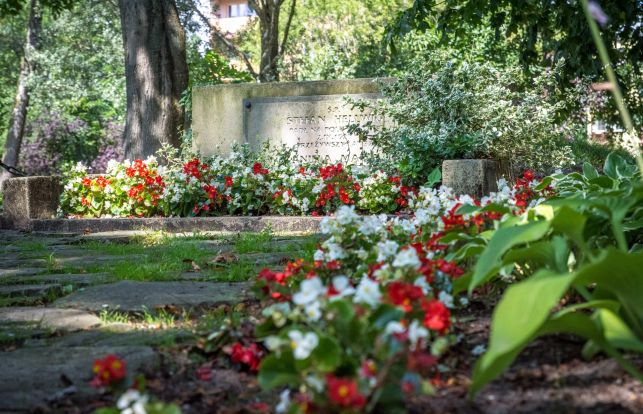 Tragiczna historia Hellwigów podbije jutro serca bełchatowian - Zdjęcie główne