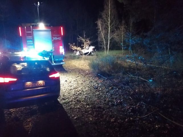 Miał trzy promile. Wypadł z drogi i uciekł z dzieckiem do lasu - Zdjęcie główne