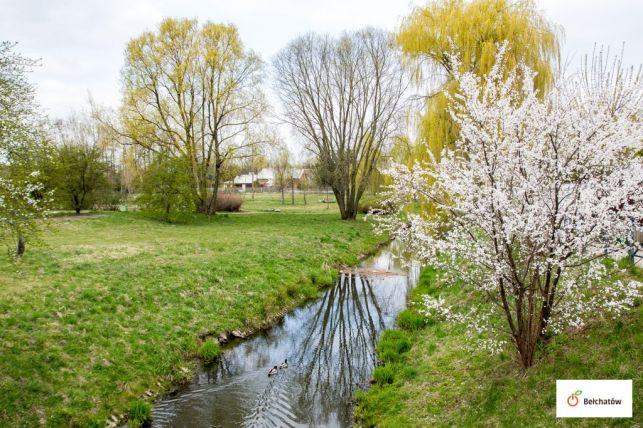 Powstanie plaża w centrum Bełchatowa. Ale na tym nie koniec! - Zdjęcie główne