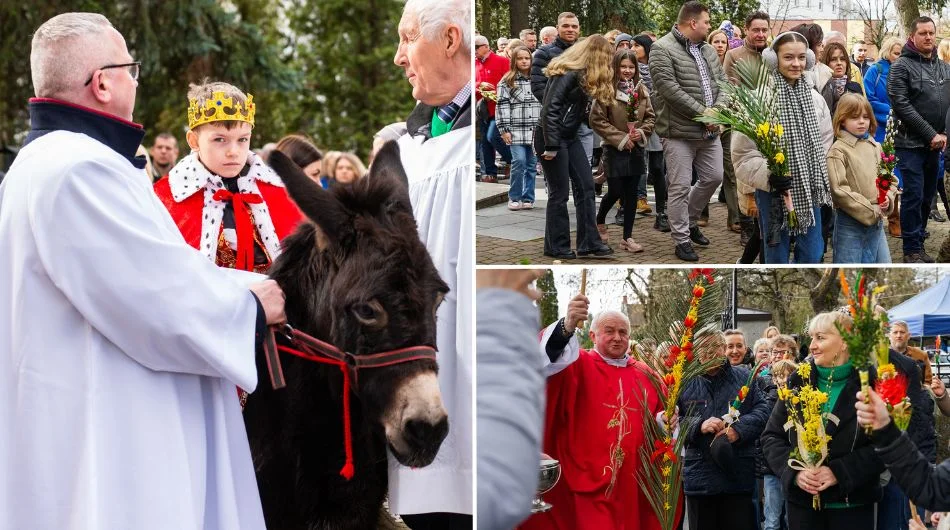 Niedziela Palmowa 2024 w bełchatowskiej parafii. Wierni przeszli w procesji z osiołkiem [FOTO] - Zdjęcie główne