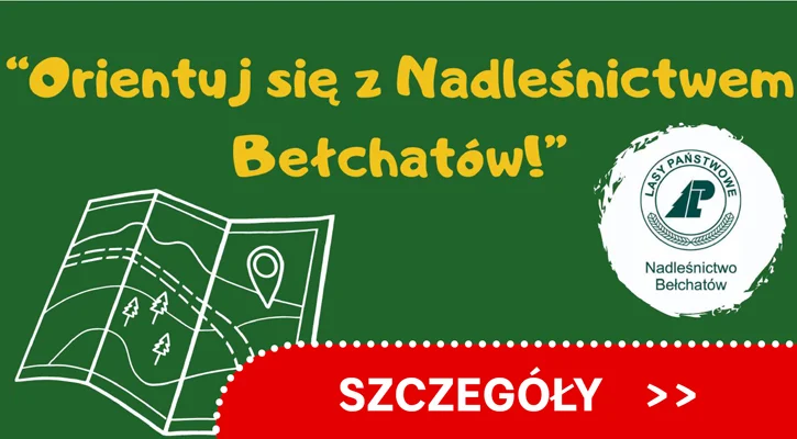 Nadleśnictwo Bełchatów zaprasza na spacer z mapą. Kliknij i dowiedz się więcej... - Zdjęcie główne